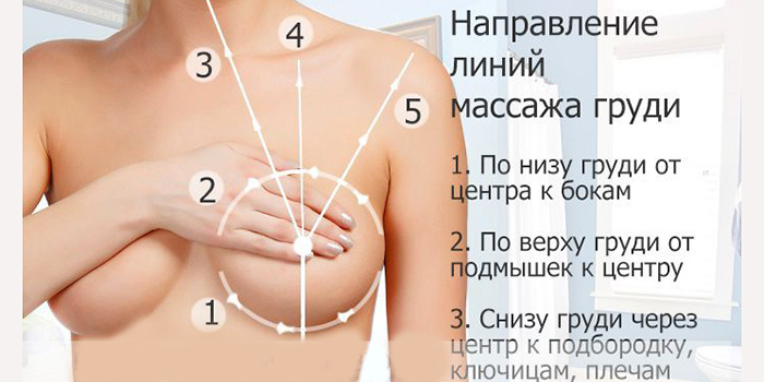 рисунок как делать массаж женской груди
