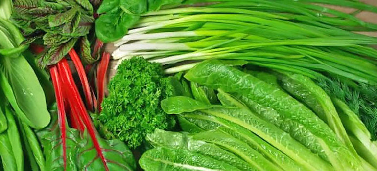 фото самые полезные зеленые листовые овощи